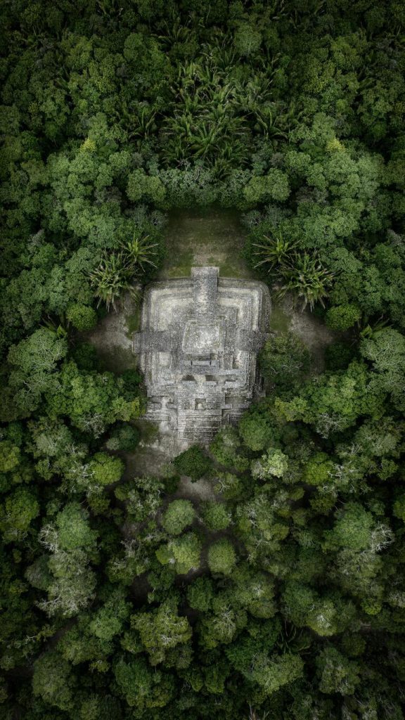 Les dernières découvertes dans le monde maya